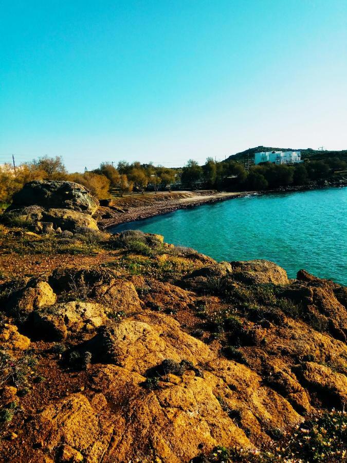 Villa Agapitos Stelida (Naxos) Exterior foto